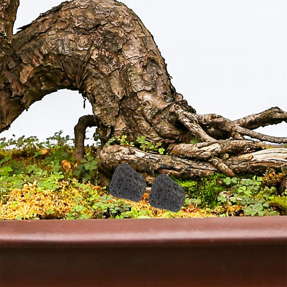 Aquarium Planted Tank Filter - Fish Tank Volcanic Rocks Natural Small
