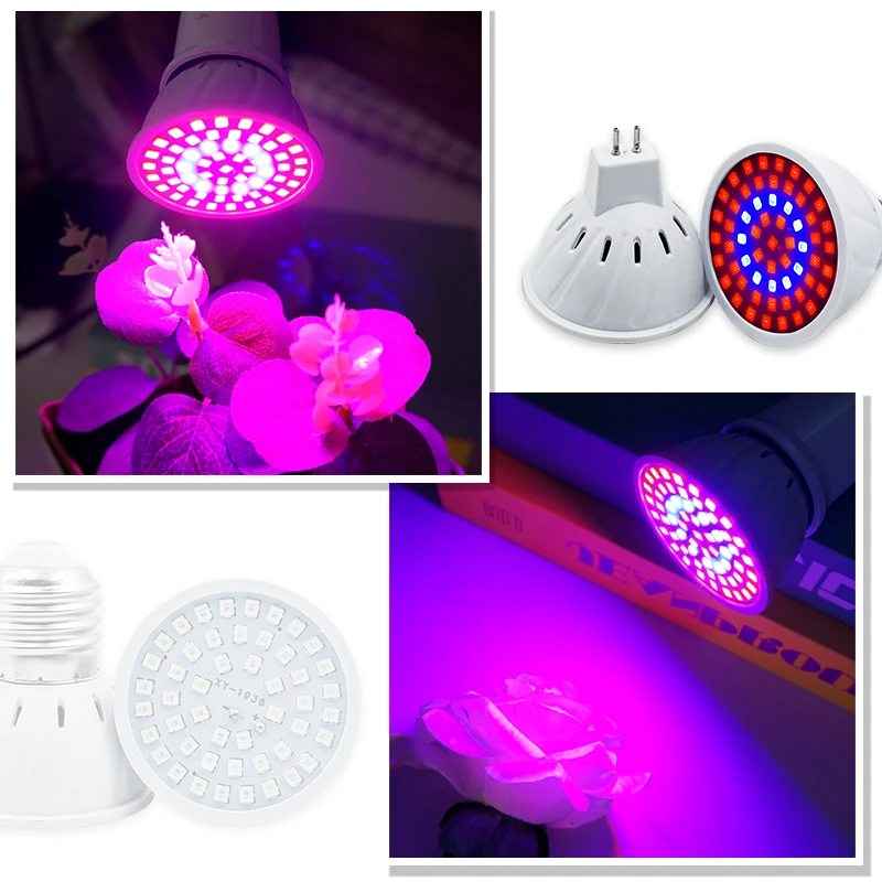 Phyto Lamp Full Spectrum LED G - Led Planted Tank Light recension och pris