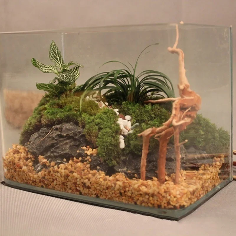 Natural Tree Trunk Driftwood A - Planted Aquarium Media recension och pris