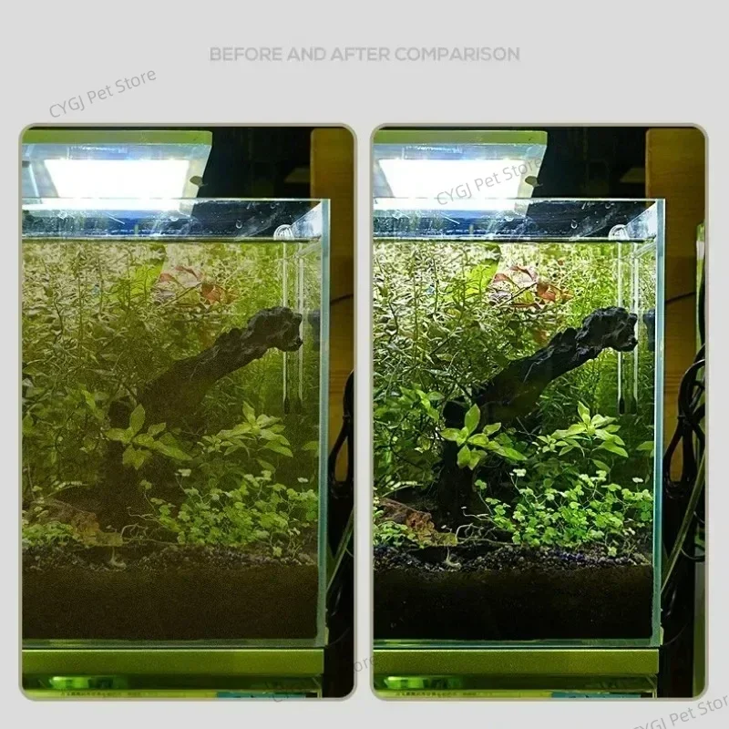 Fish Tank Cleaning Tool Flat S - Planted Aquarium Maintenance Kit recension och pris