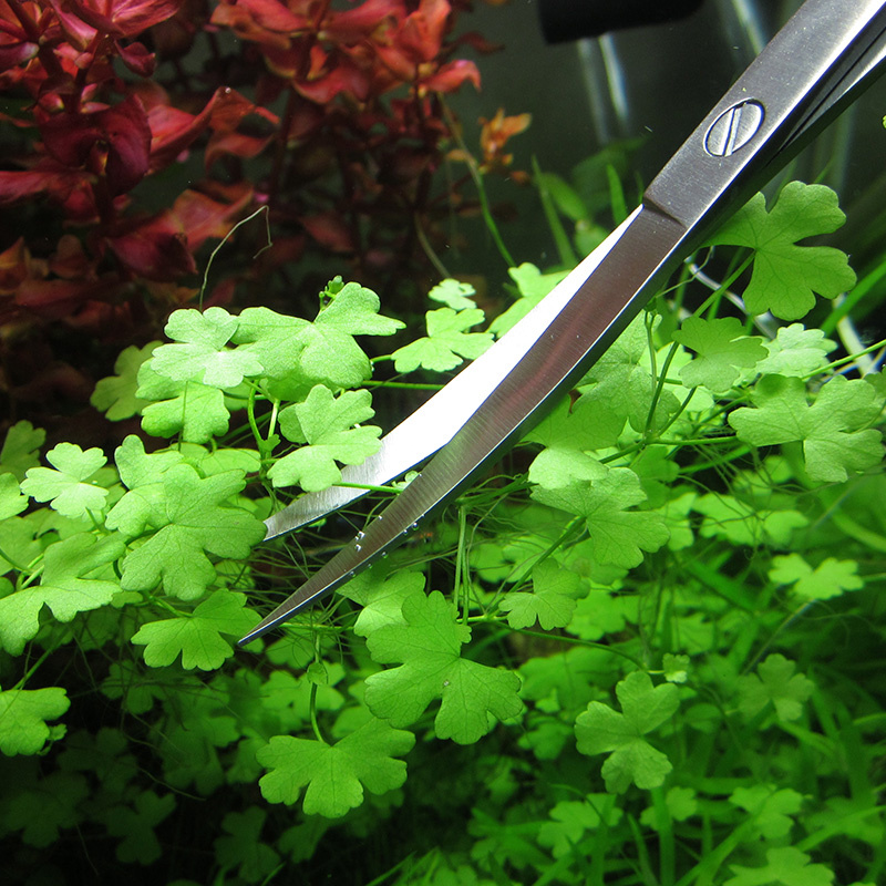 Aquarium Accessories Hard Stai - Planted Aquarium Tools recension och pris