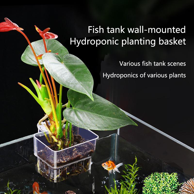 Aquarium Hydroponic Planting C - Aquarium Planted Set Up recension och pris