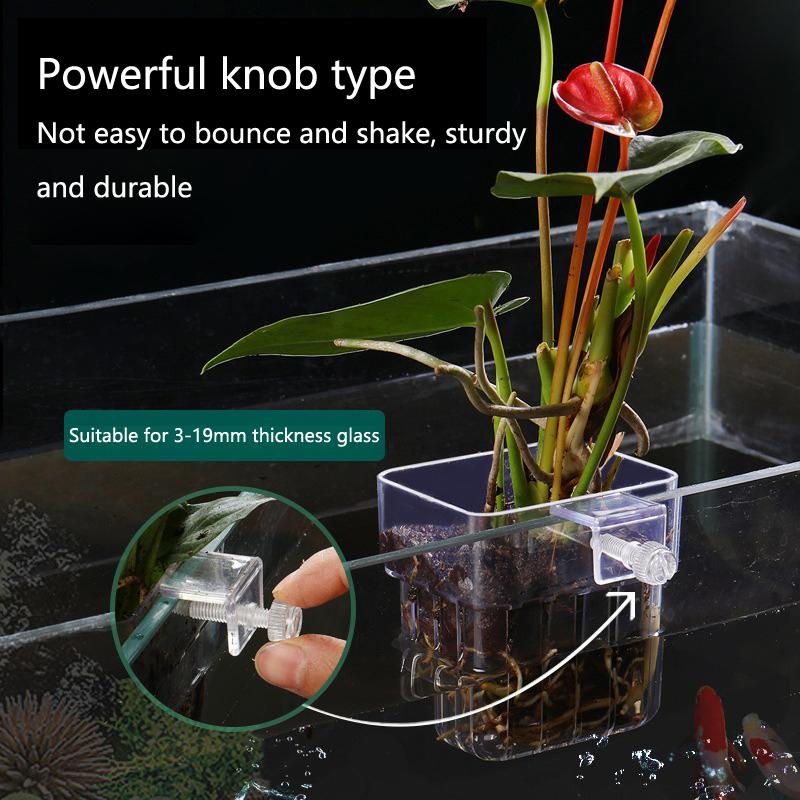 Aquarium Hydroponic Planting C - Aquarium Planted Set Up recension och pris