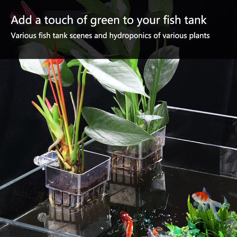 Aquarium Hydroponic Planting C - Aquarium Planted Set Up recension och pris