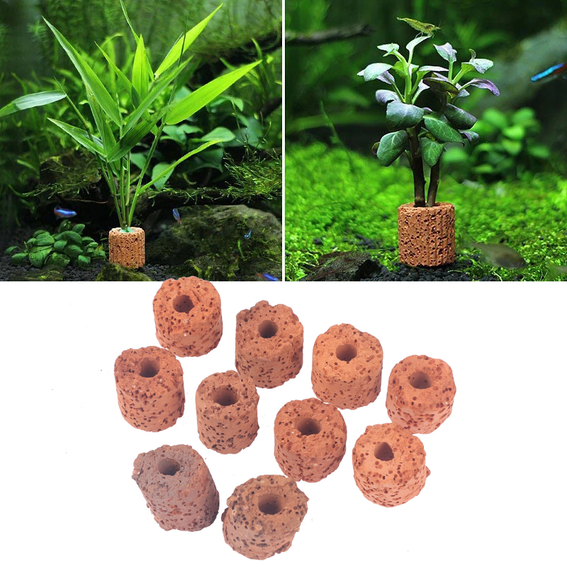 10Pcs Mini Aquatic Plant Ring  - Aquarium Planted Set Up recension och pris