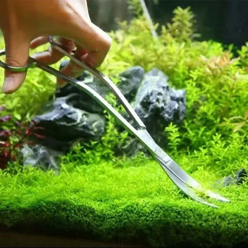 1Pcs Stainless Steel Aquarium  - Planted Aquarium Tools recension och pris