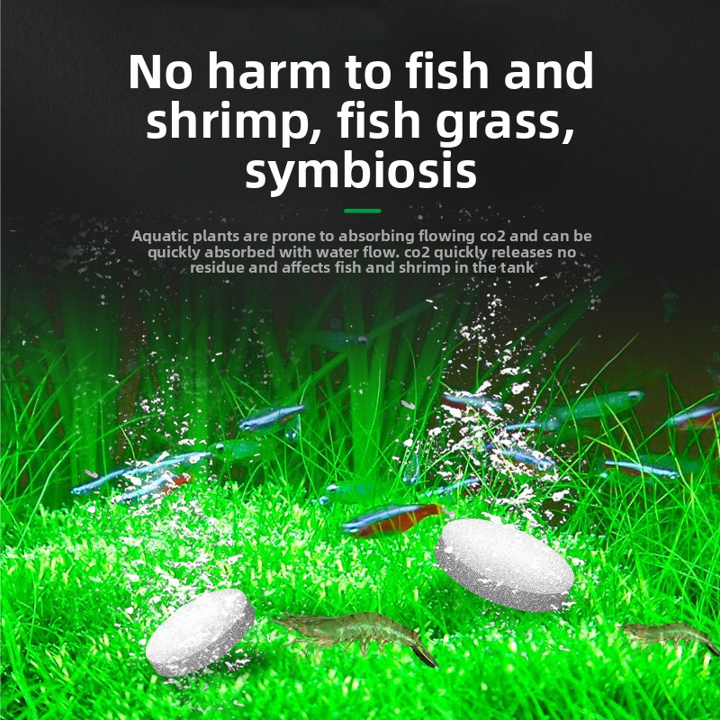 FKSC CO2 Booster Tablets for A - Aquarium Plant Yellowing recension och pris