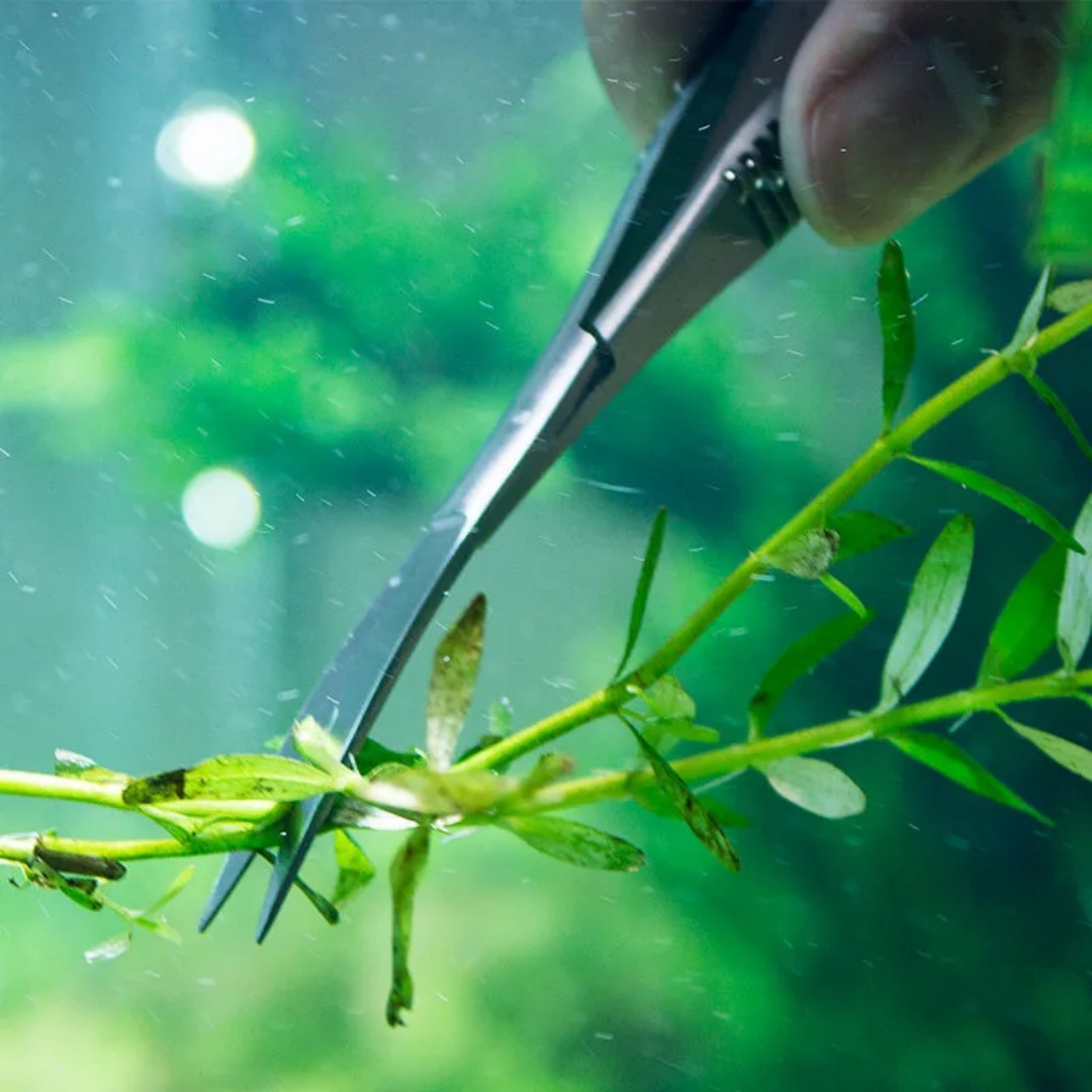 Curved Straight Spring Scissor - Planted Aquarium Maintenance Kit recension och pris